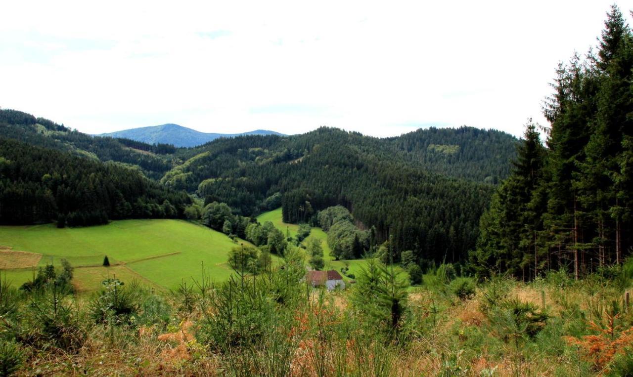 Gemuetliches Haus Im Herzen Des Schwarzwaldes Fuer Bis Zu 9 Personen Elzach Extérieur photo