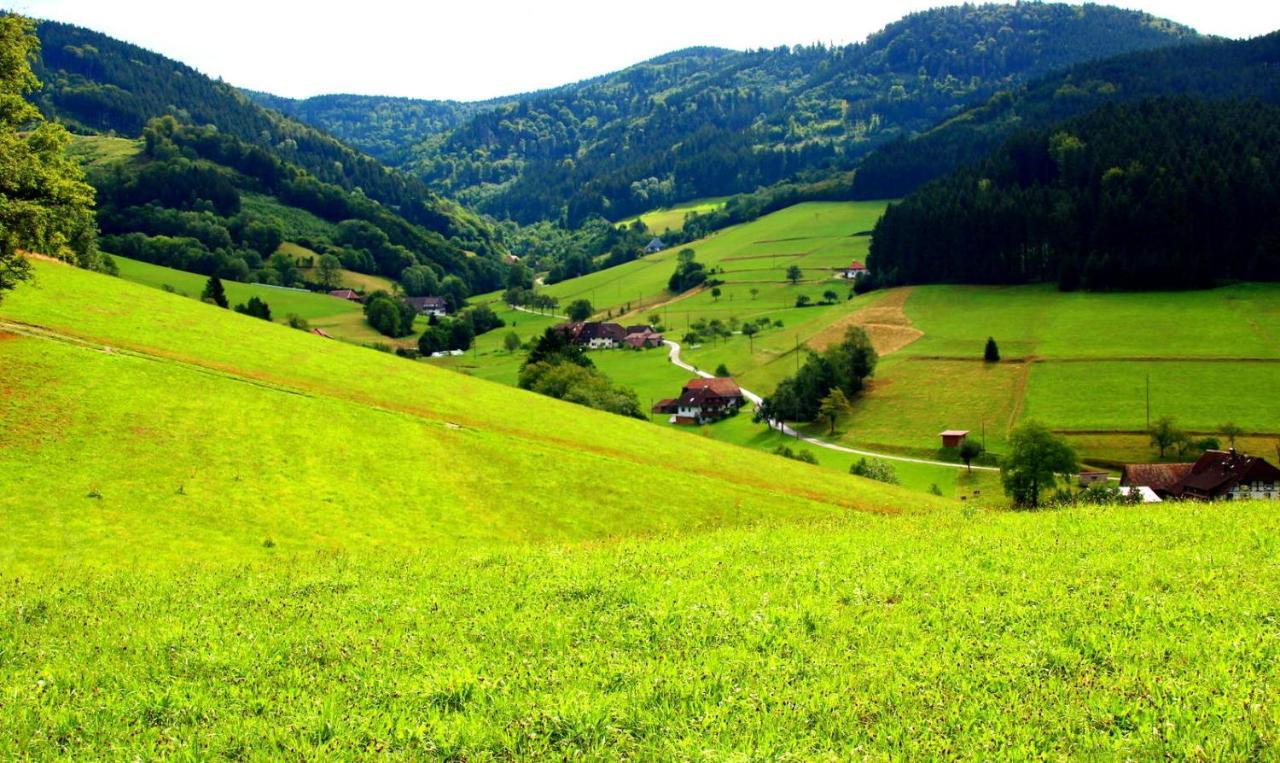 Gemuetliches Haus Im Herzen Des Schwarzwaldes Fuer Bis Zu 9 Personen Elzach Extérieur photo
